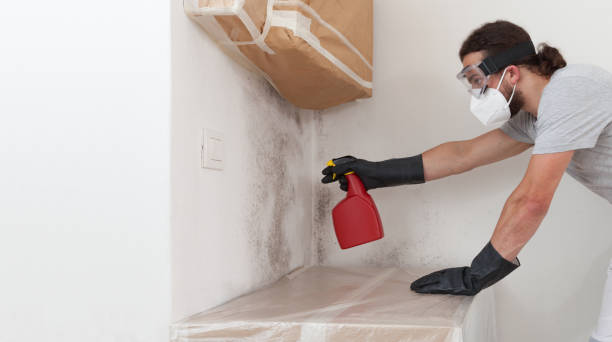 Professional Attic Mold Removal technician working in Somerset, TX